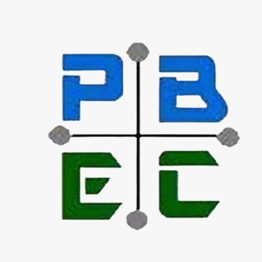 Professional Building Engineering and Consultancy Ltd